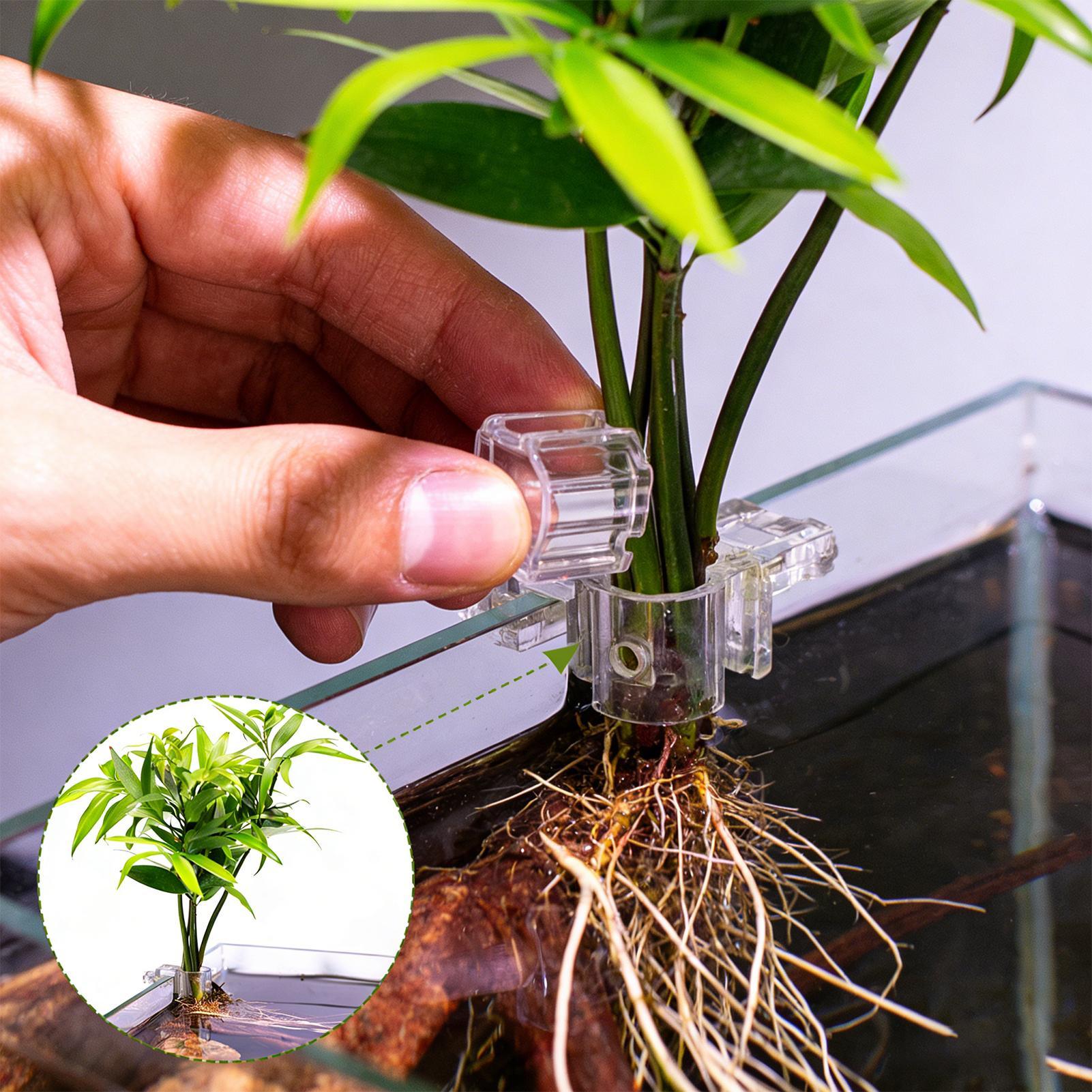 Fish Tank Plant Holder 6 Piece - Tablet Accessories For Girls 评论和价格